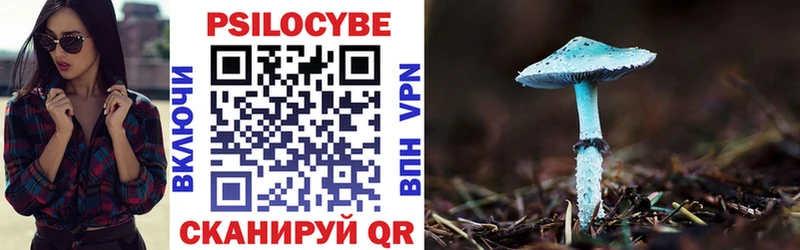 Псилоцибиновые грибы Magic Shrooms Межгорье